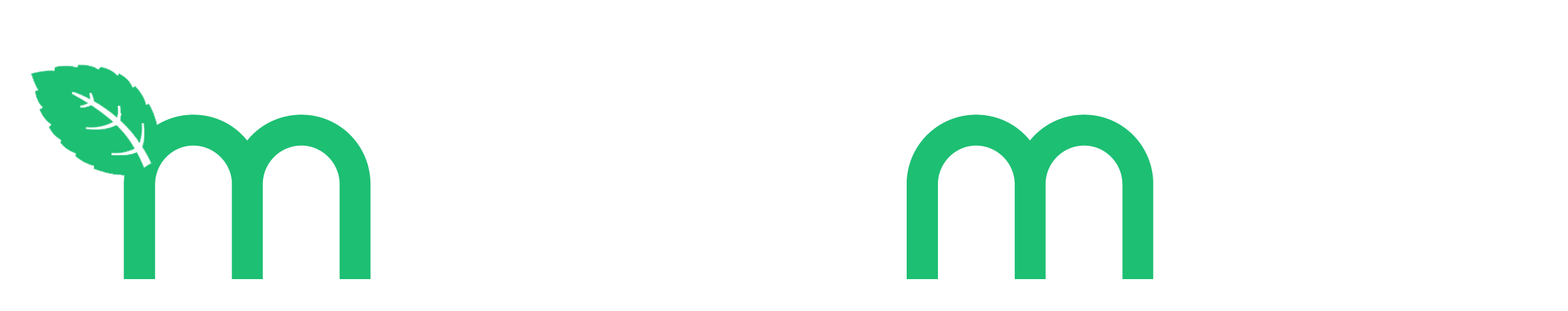 Micromint